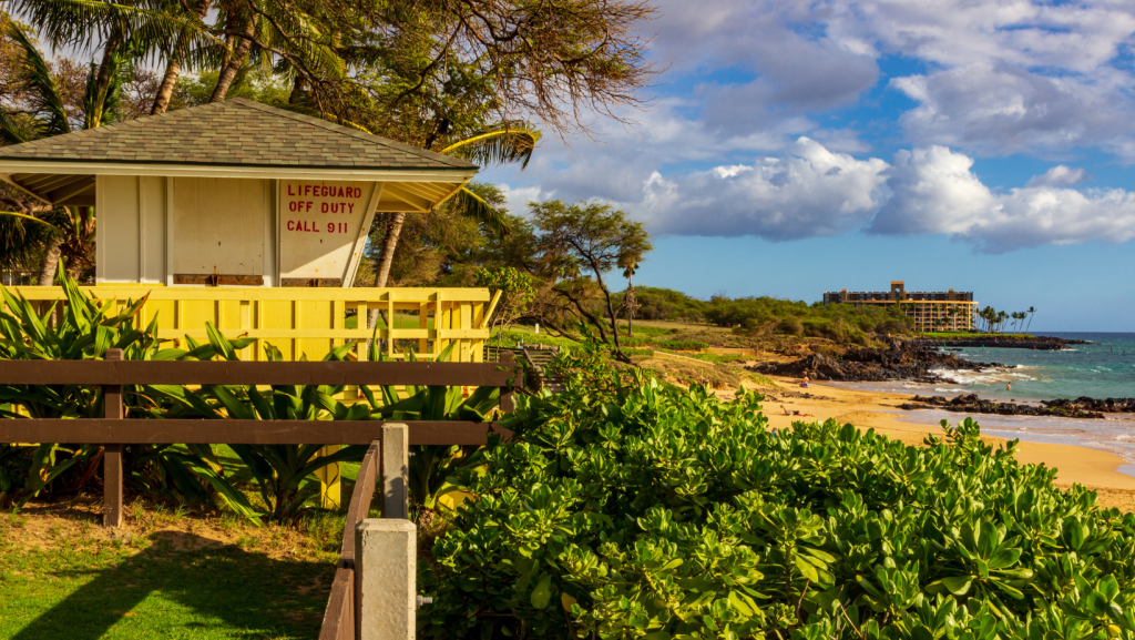 Flexible jobs for retirees - beach
